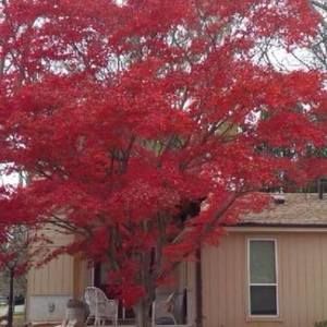 Meet your Posher, Seema